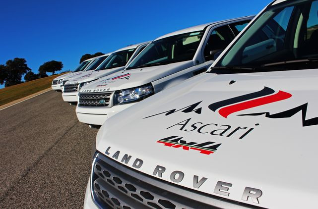 Ascari