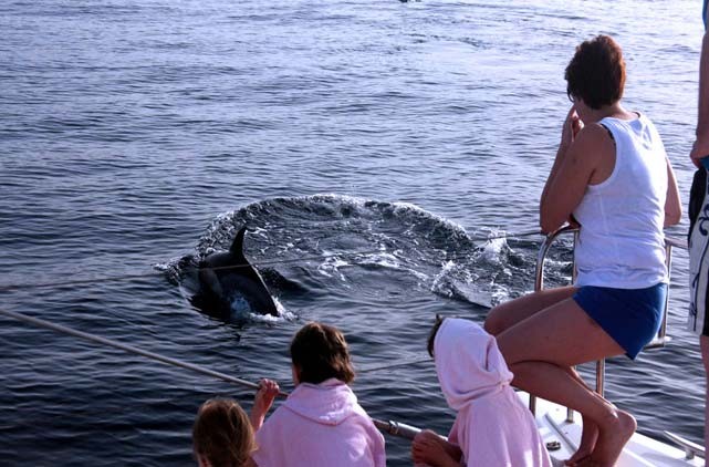 Catamaran Lagoon 380, Estepona