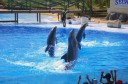 Excursions for children in the Costa del Sol