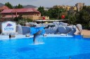 Excursions pour les enfants sur la Costa del Sol