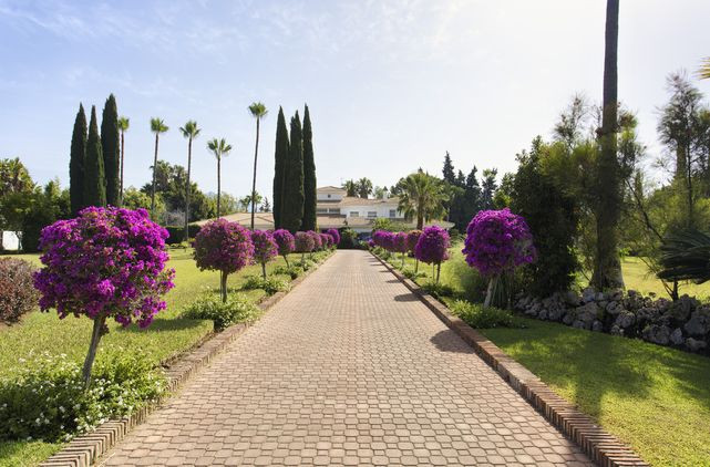 Villa TGS-0543